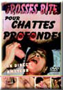 GROSSES BITES POUR CHATTES
